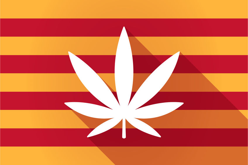 Cannabis Rules in Spain A Complete Guide
